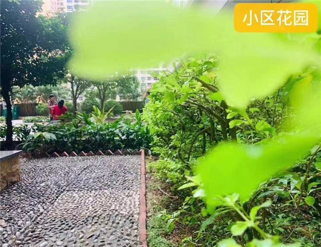 微信图片_20200102151147.jpg