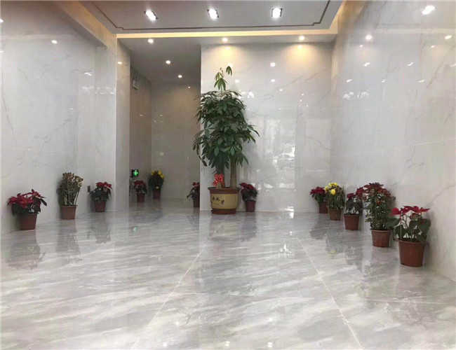 QQ图片20190301172728.jpg