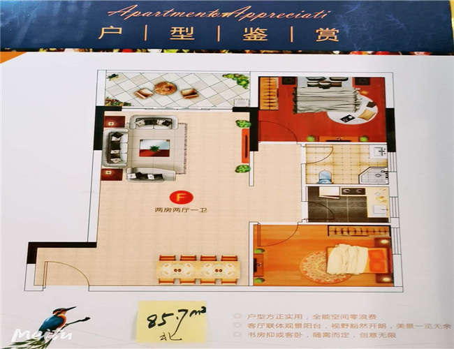 微信图片_20200509221229.jpg