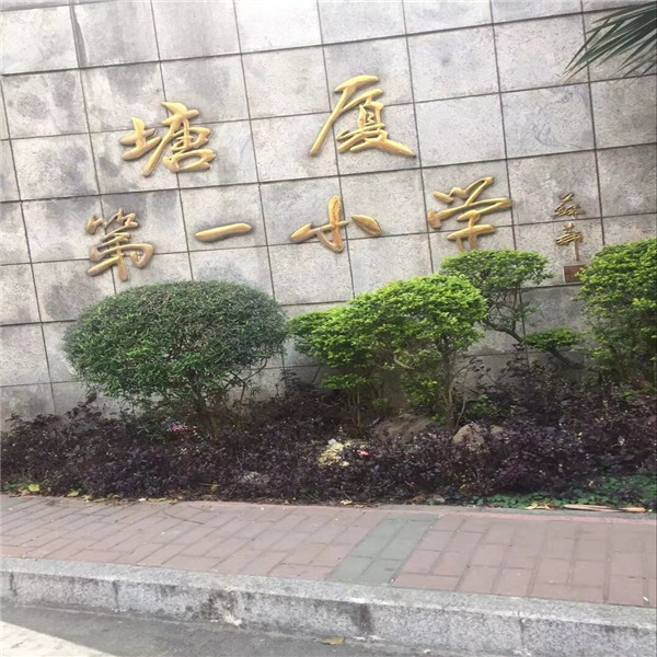 QQ图片20180612223143.jpg